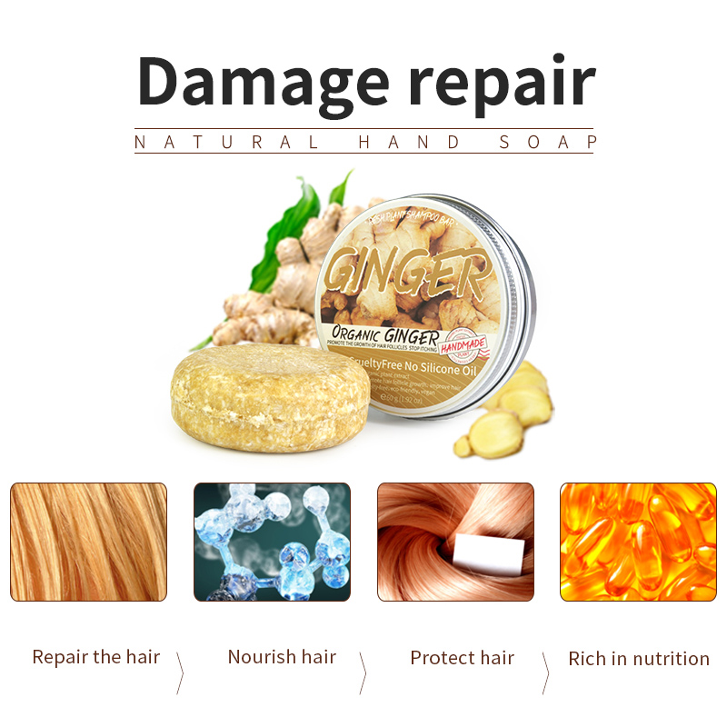 Shampoo Soap Ginger Solid Sham - Soap Making Unit review and price
